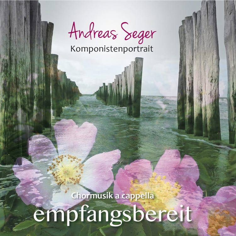 Motiv von Meer und Strand auf den CDs